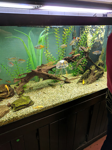 Pet Store «Fins Feathers Paws Claws», reviews and photos, 201 Station Rd, Quakertown, PA 18951, USA