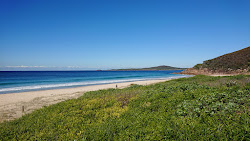Photo de Zenith Beach zone sauvage