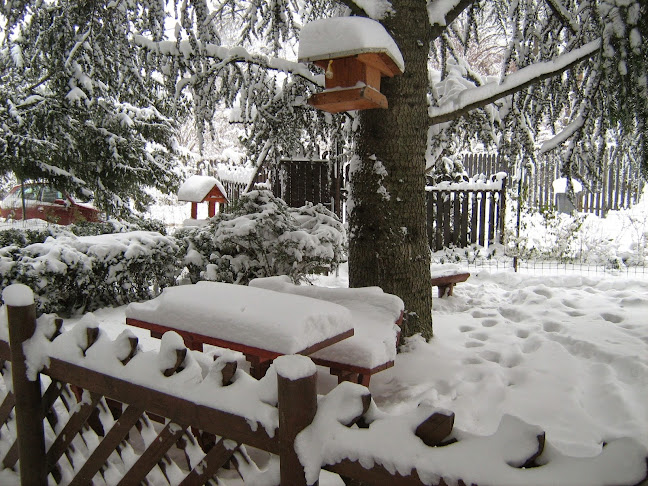 Szent Orsolya Óvoda - Óvoda