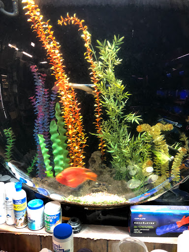 Tropical Fish Store «Midway Tropical Fish & Pets», reviews and photos, 24101 Pacific Hwy S, Kent, WA 98032, USA