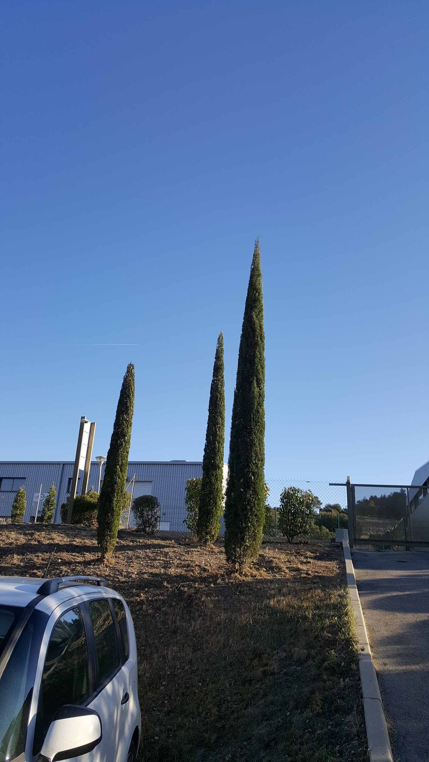 Photo n° 6 de l'avis de RM. fait le 17/02/2018 à 09:25