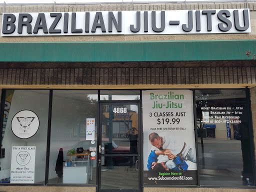 Subconscious BJJ image