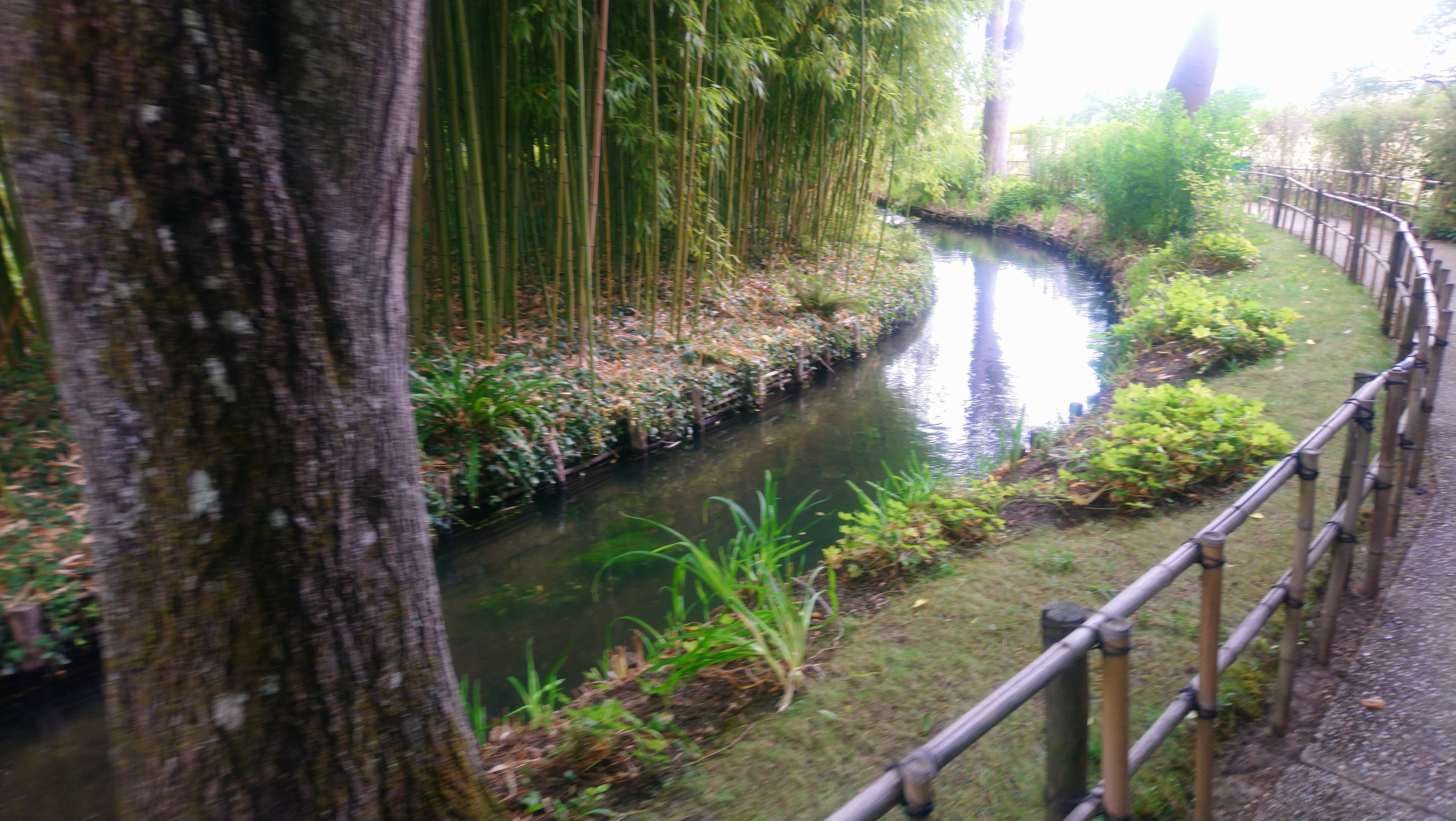 Photo n° 4 de l'avis de Angèle.K fait le 03/08/2020 à 11:24