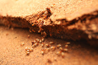 Exell Pest Control - Photo 6 - Car repair in Miramar, FL, Miami