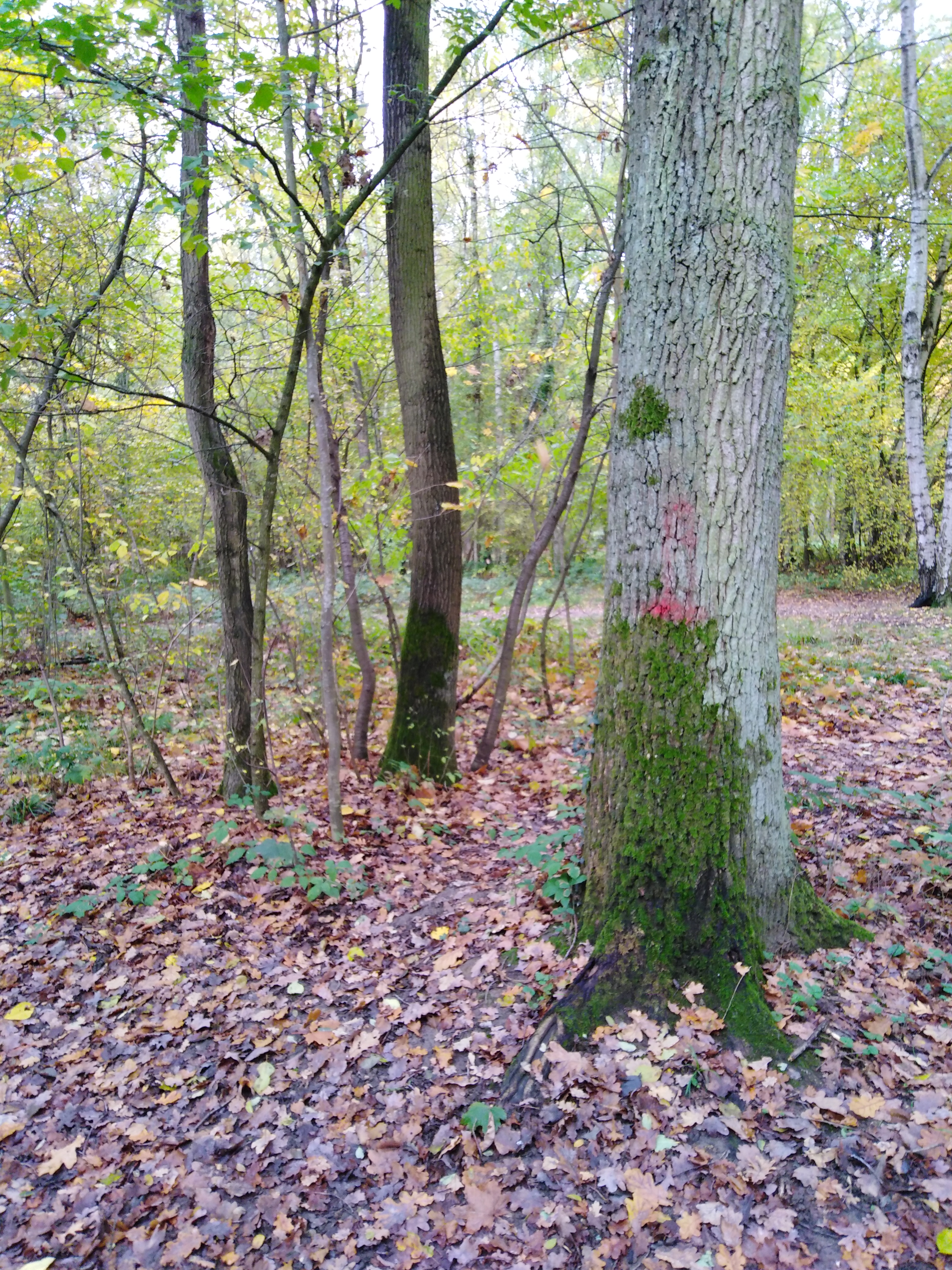 Photo n° 3 de l'avis de Gabriel.o fait le 16/11/2019 à 18:14