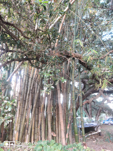 Self-Storage Facility «Belleair Storage of Florida, LLC», reviews and photos, 1115 Ponce De Leon Blvd, Belleair, FL 33756, USA