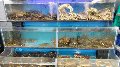 Asian Grocery Store «Viet Hoa Food Market», reviews and photos, 7100 Preston Hwy # 107, Louisville, KY 40219, USA