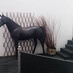 Photo n°8 de l'avis de Ivy. fait le 11/01/2018 à 05:52 sur le  Hotel Business Wieland à Düsseldorf