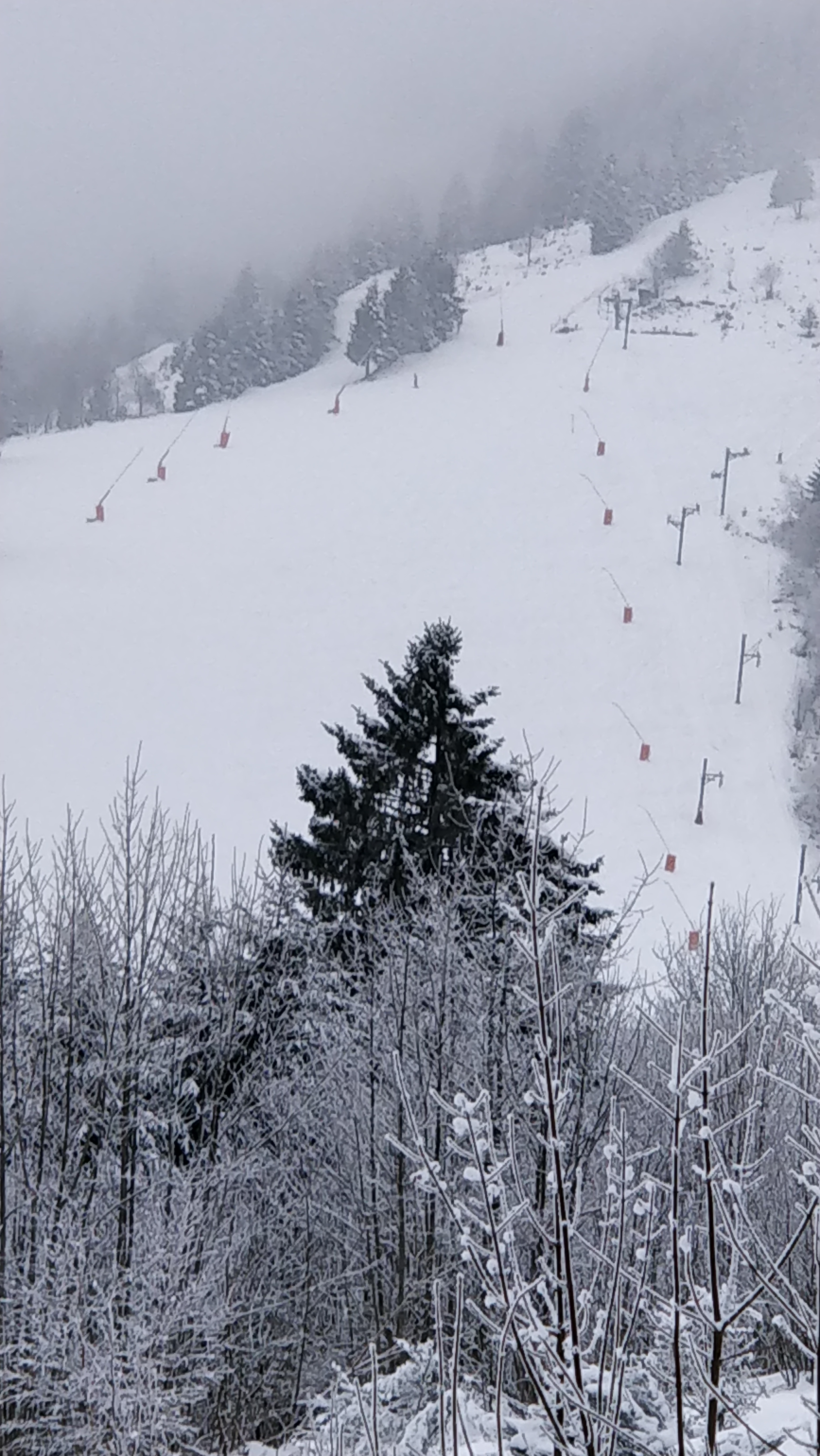 Photo n° 4 de l'avis de Serge.A fait le 24/02/2018 à 21:15