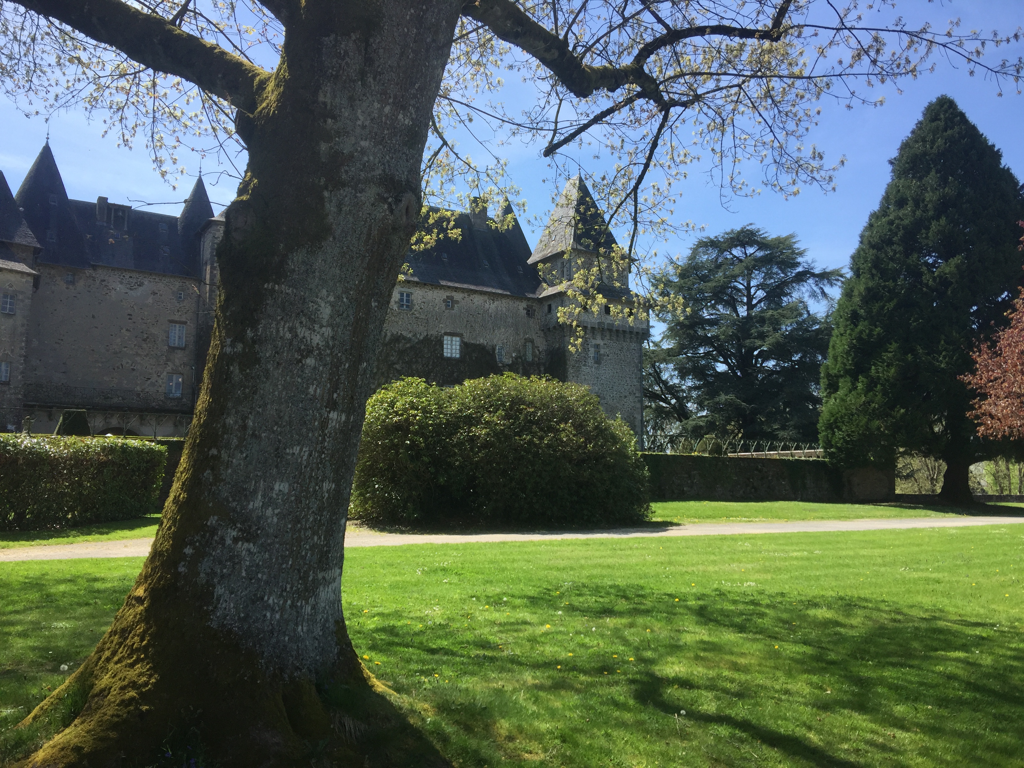 Photo n° 5 de l'avis de Claire.a fait le 22/04/2018 à 05:12