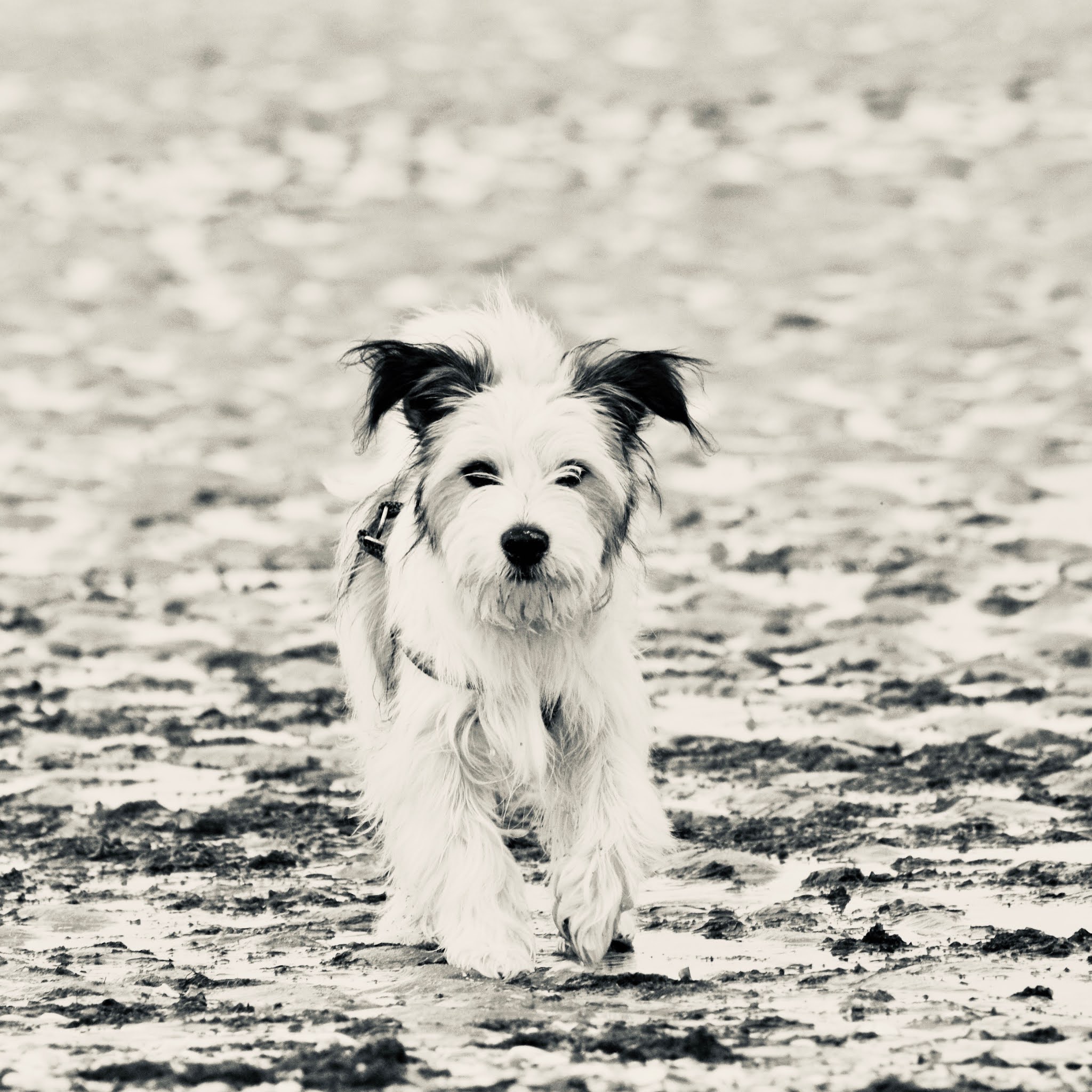 Photo n° 2 de l'avis de Gilles. fait le 10/08/2021 à 14:32