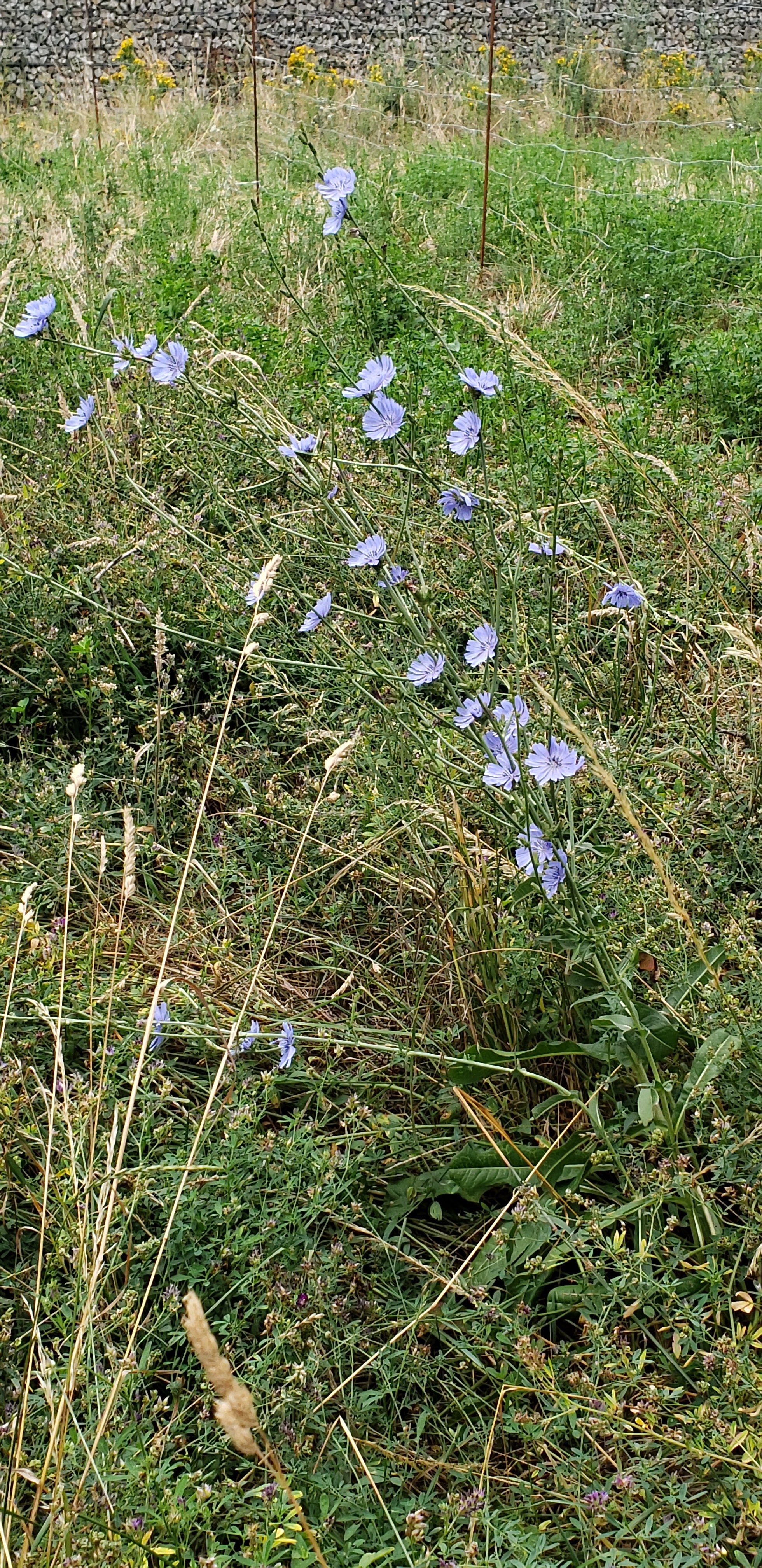 Photo n° 16 de l'avis de Patricia.A fait le 16/07/2023 à 11:00