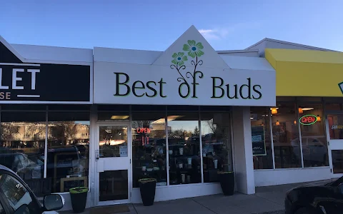 Best of Buds image