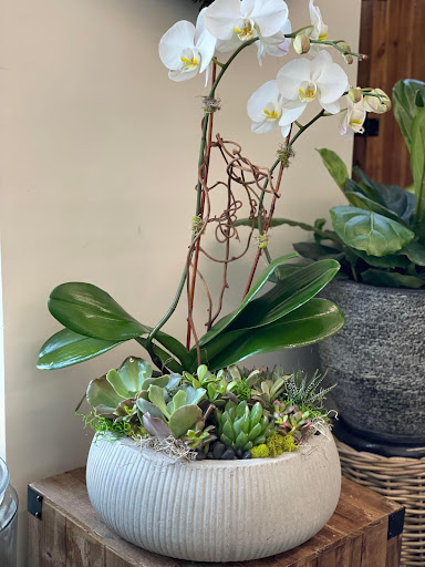 Florist «Helen Olivia Flowers», reviews and photos, 128 N Pitt St, Alexandria, VA 22314, USA