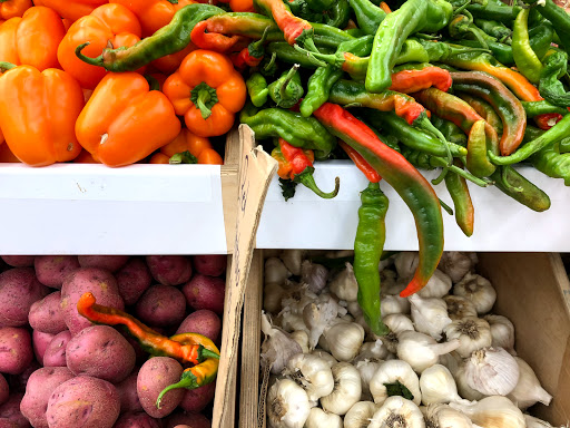 Grocery Store «Arax Market», reviews and photos, 585 Mt Auburn St, Watertown, MA 02472, USA