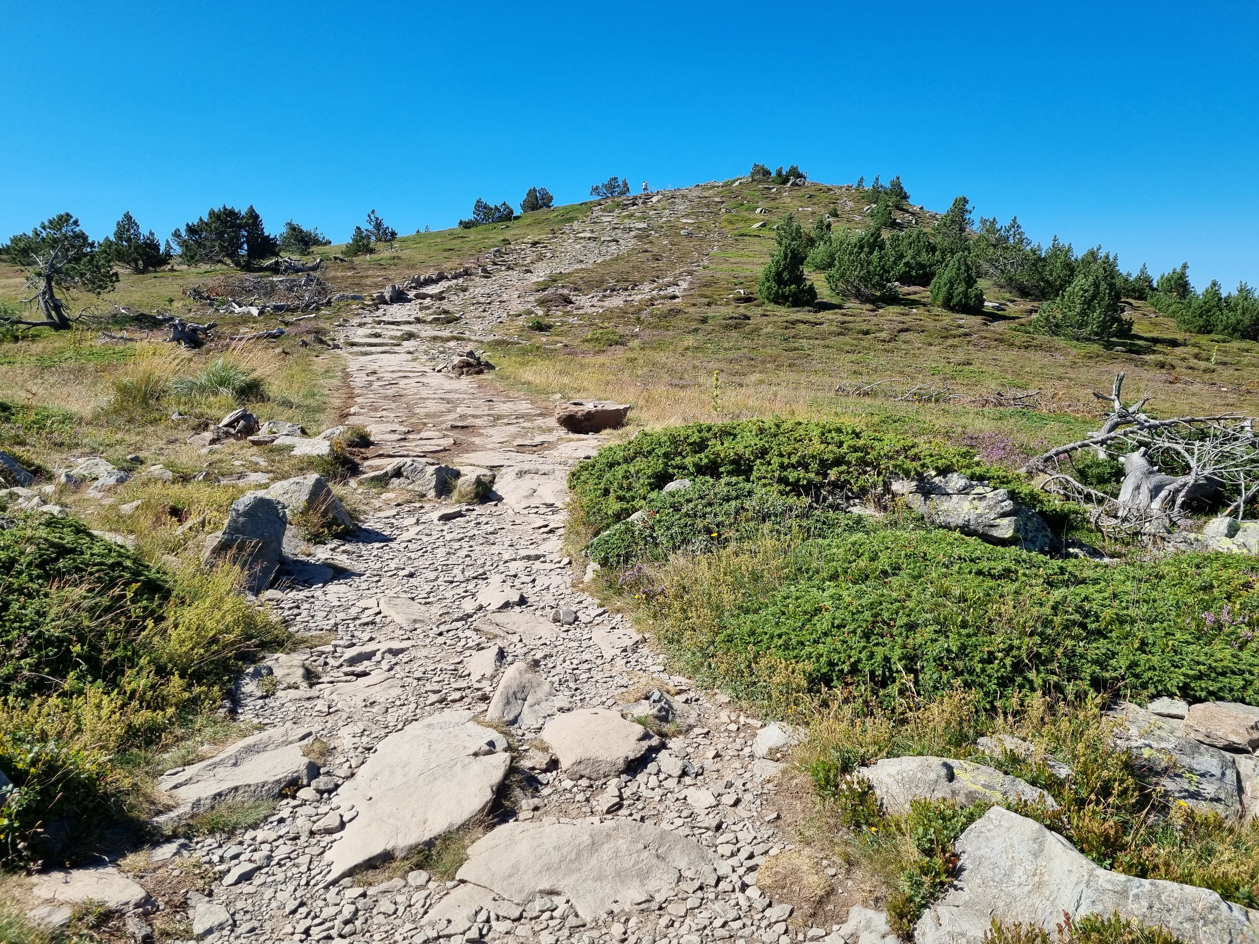 Photo n° 10 de l'avis de LD.R fait le 17/07/2022 à 16:33