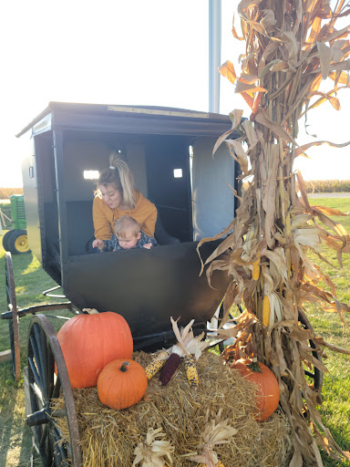 Pumpkin Patch «Barts Farm and Pumpkin Patch», reviews and photos, 7307 Alburnett Rd, Marion, IA 52302, USA