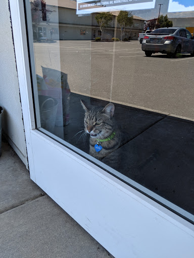 Pet Supply Store «Northern California Pet Supply and Grooming», reviews and photos, 1580 Nursery Way, McKinleyville, CA 95519, USA