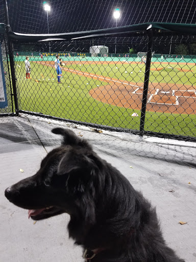 Gym «HealthQuest Fitness Club», reviews and photos, 314 NJ-31, Flemington, NJ 08822, USA