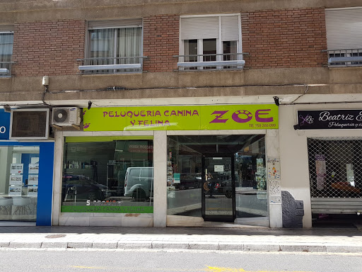 Peluqueria Canina Zoe