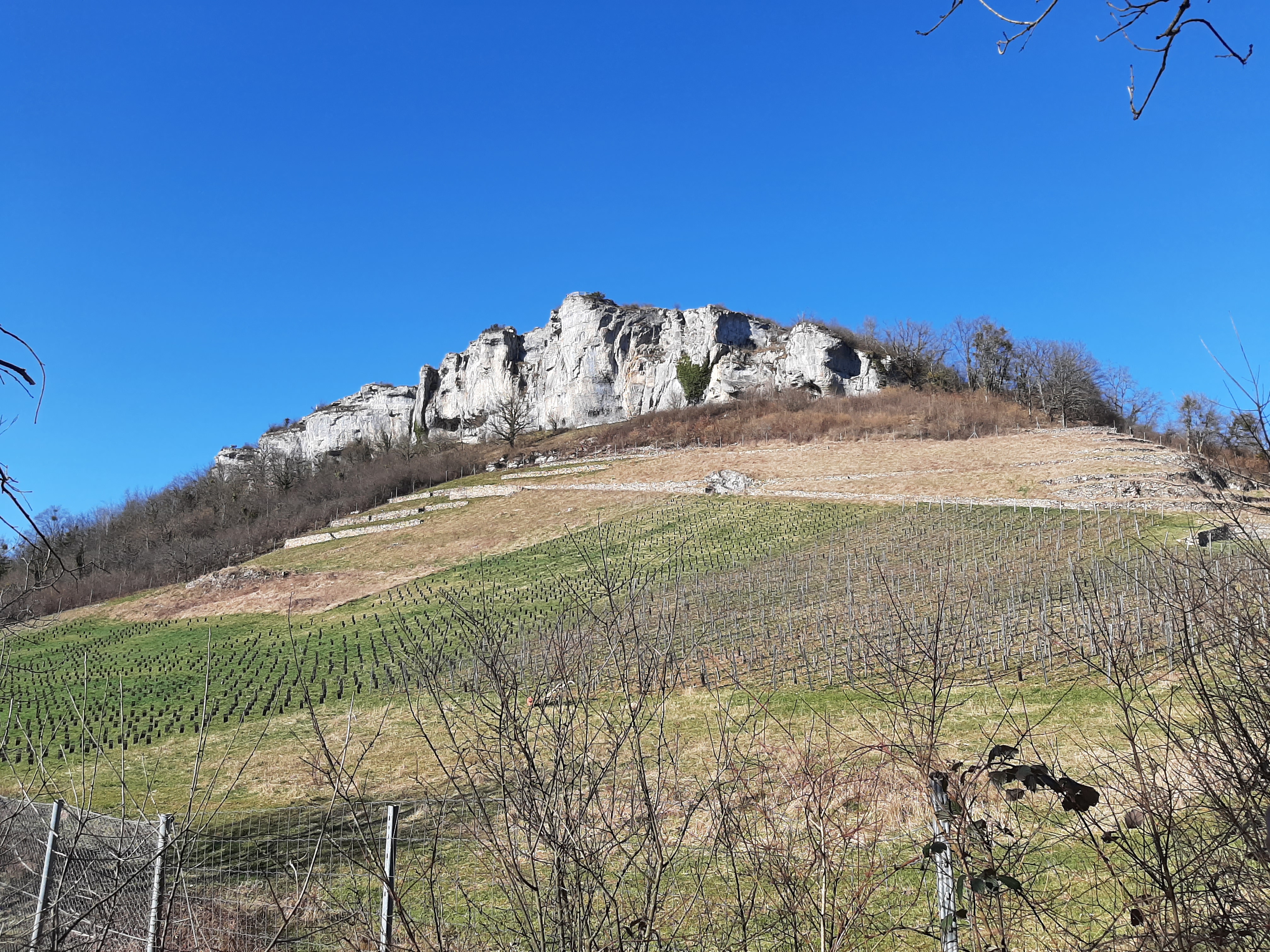 Photo n° 1 de l'avis de Jean-Michel.a fait le 26/02/2022 à 18:46
