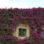 Photo n°4 de l'avis de Ester.a fait le 26/06/2018 à 06:11 sur le  Commenda di San Calogero à Augusta