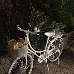 Photo n°2 de l'avis de Rachele.e fait le 16/02/2020 à 17:22 sur le  Ristorante Gabarda à Carpi