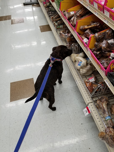 Pet Supply Store «Pet Supplies Plus», reviews and photos, 5394 Kemps River Dr Suite 101, Virginia Beach, VA 23464, USA
