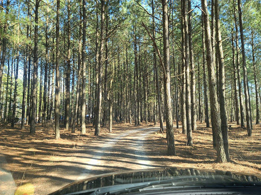 Nature Preserve «Maurice River Bluffs Preserve», reviews and photos, Silver Run Rd, Millville, NJ 08332, USA