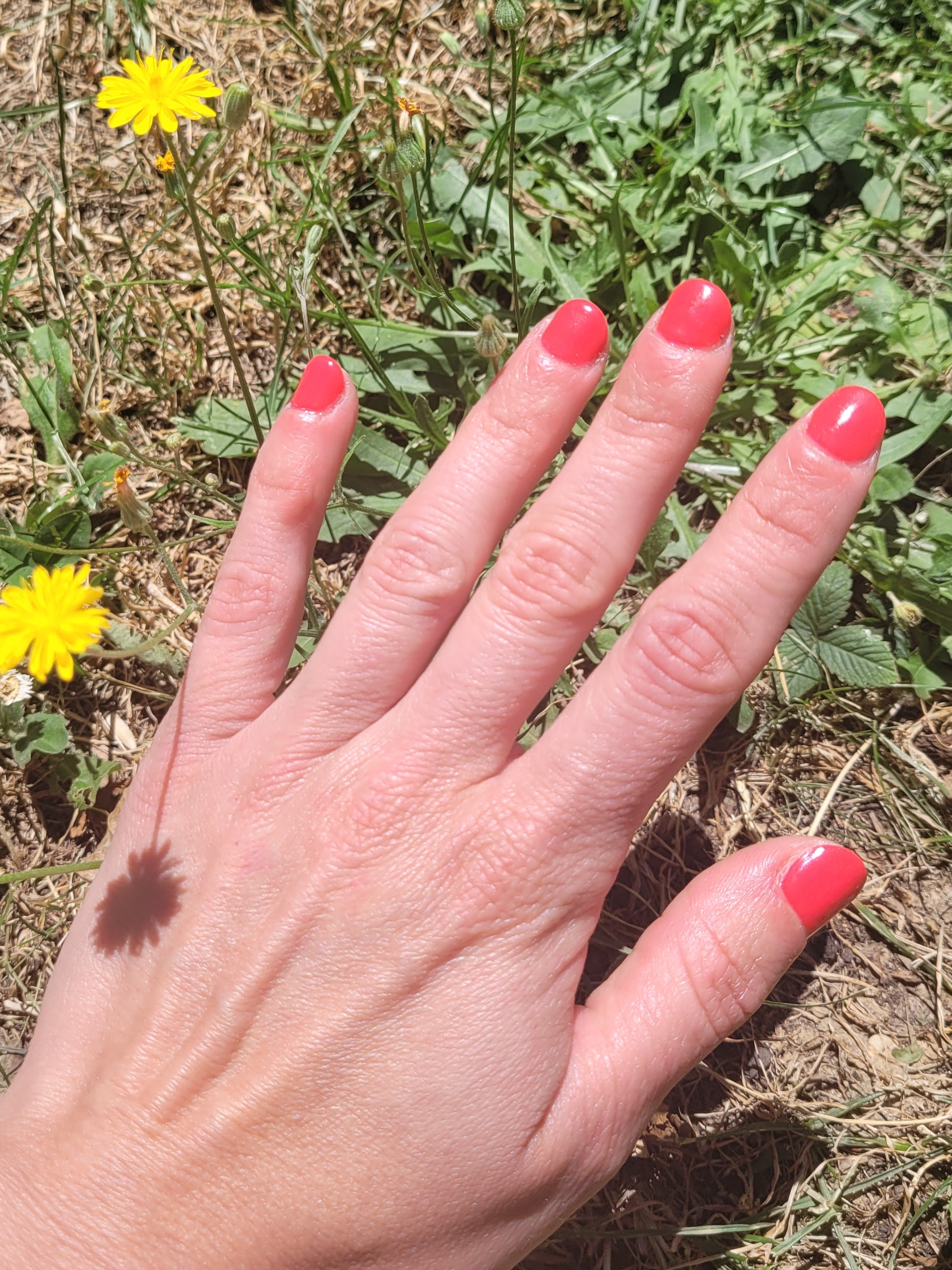 Photo n° 1 de l'avis de laure.e fait le 30/05/2022 à 10:40