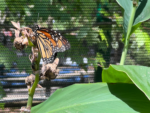 Zoo «Turtle Back Zoo», reviews and photos, 560 Northfield Ave, West Orange, NJ 07052, USA