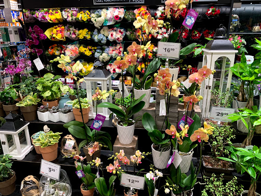 Craft Store «Hobby Lobby», reviews and photos, 255 W Roosevelt Rd, Lombard, IL 60148, USA