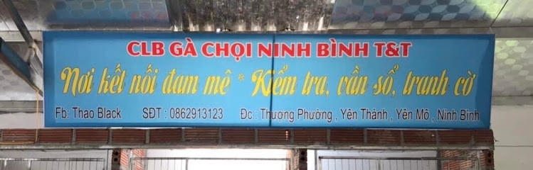 CLB Gà Chọi Ninh Bình T&T