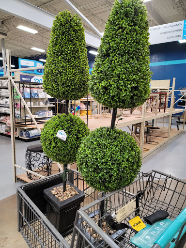 Home Goods Store «At Home», reviews and photos, 7400 Douglas Blvd, Douglasville, GA 30135, USA