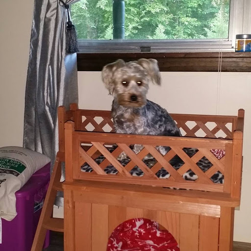 Pet Store «Pet Land», reviews and photos, 1450 Fort Campbell Blvd, Clarksville, TN 37042, USA