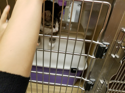 Pet Supply Store «PetSmart», reviews and photos, 198 Promenade Blvd, Flowood, MS 39232, USA