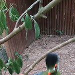 Photo n°1 de l'avis de Elisa.c fait le 04/08/2023 à 16:28 sur le  Parc Gallorose à Loc. Cedrino