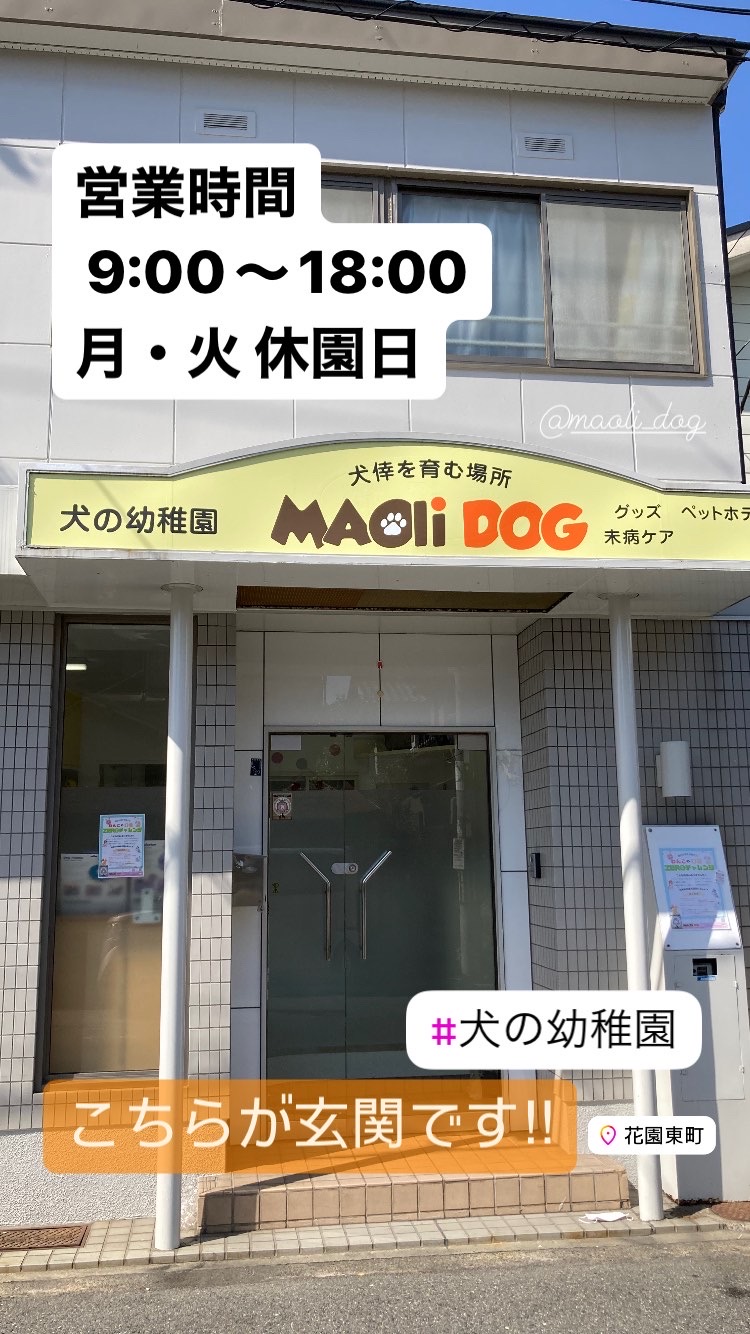 犬の幼稚園 MAOli DOG - まおりどっぐ