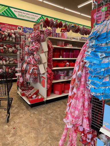 Dollar Store «Dollar Tree», reviews and photos, 40756 Ryan Rd, Sterling Heights, MI 48310, USA