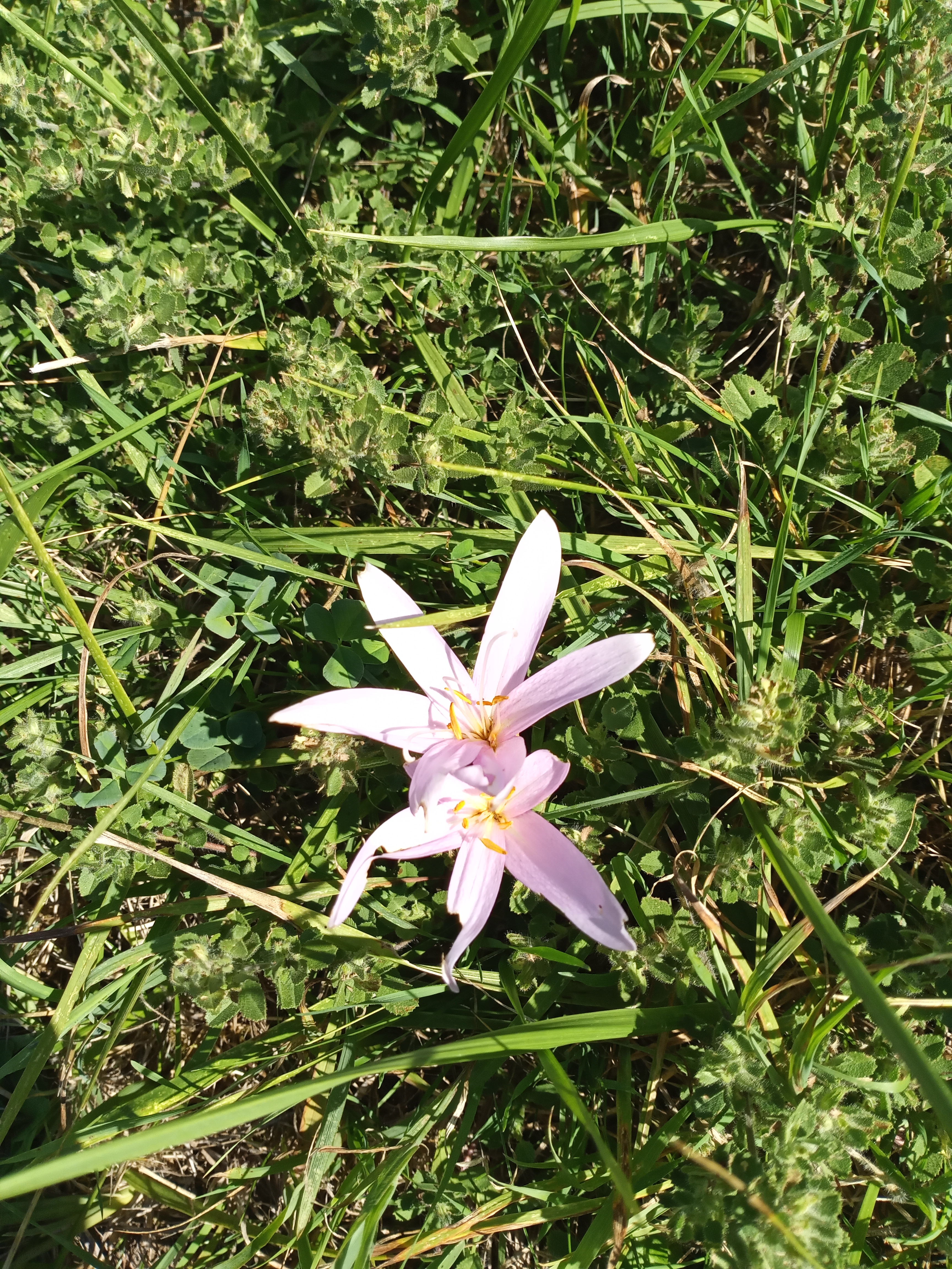 Photo n° 1 de l'avis de Gennadiy.l fait le 24/08/2022 à 13:49