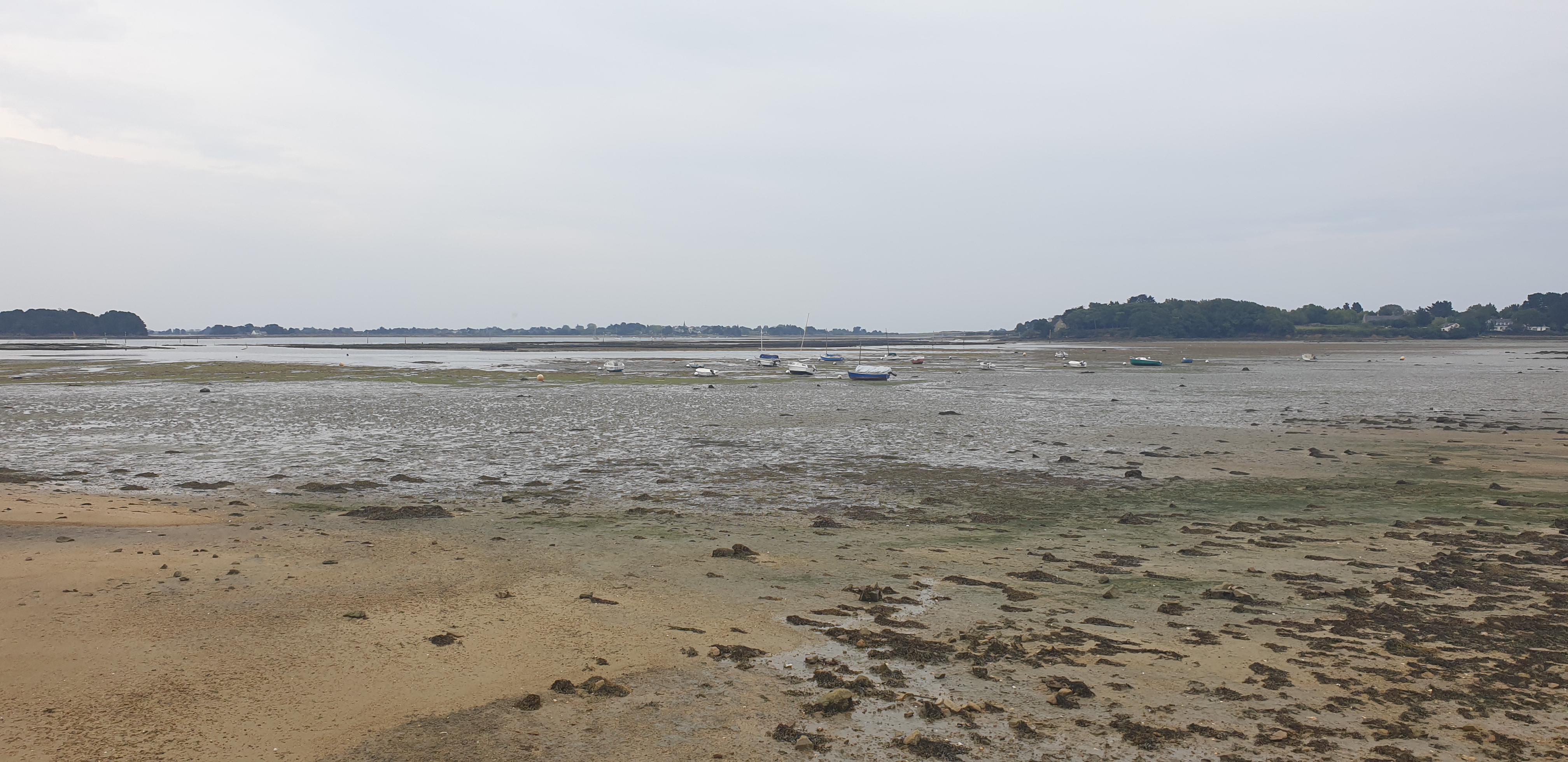Photo n° 12 de l'avis de Olivier.o fait le 18/09/2020 à 17:22