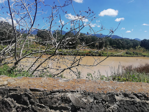 Presa de San Francisco Acuautla