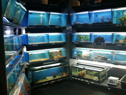 Pet Store «Cape Horn Pets», reviews and photos, 673 Lombard Rd, Red Lion, PA 17356, USA