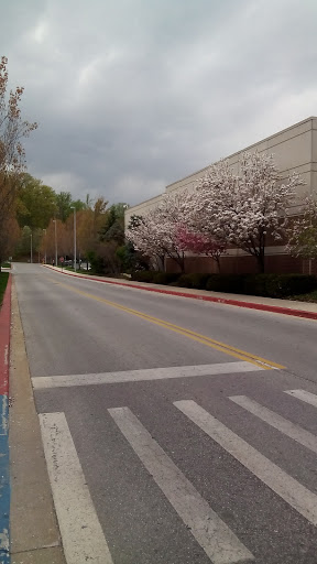 Computer Store «Apple Columbia», reviews and photos, 10300 Little Patuxent Pkwy, Columbia, MD 21044, USA