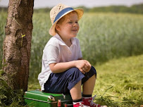 Law Office of David C. Shook - Photo 4 - Car repair in Toledo, OH, Toledo