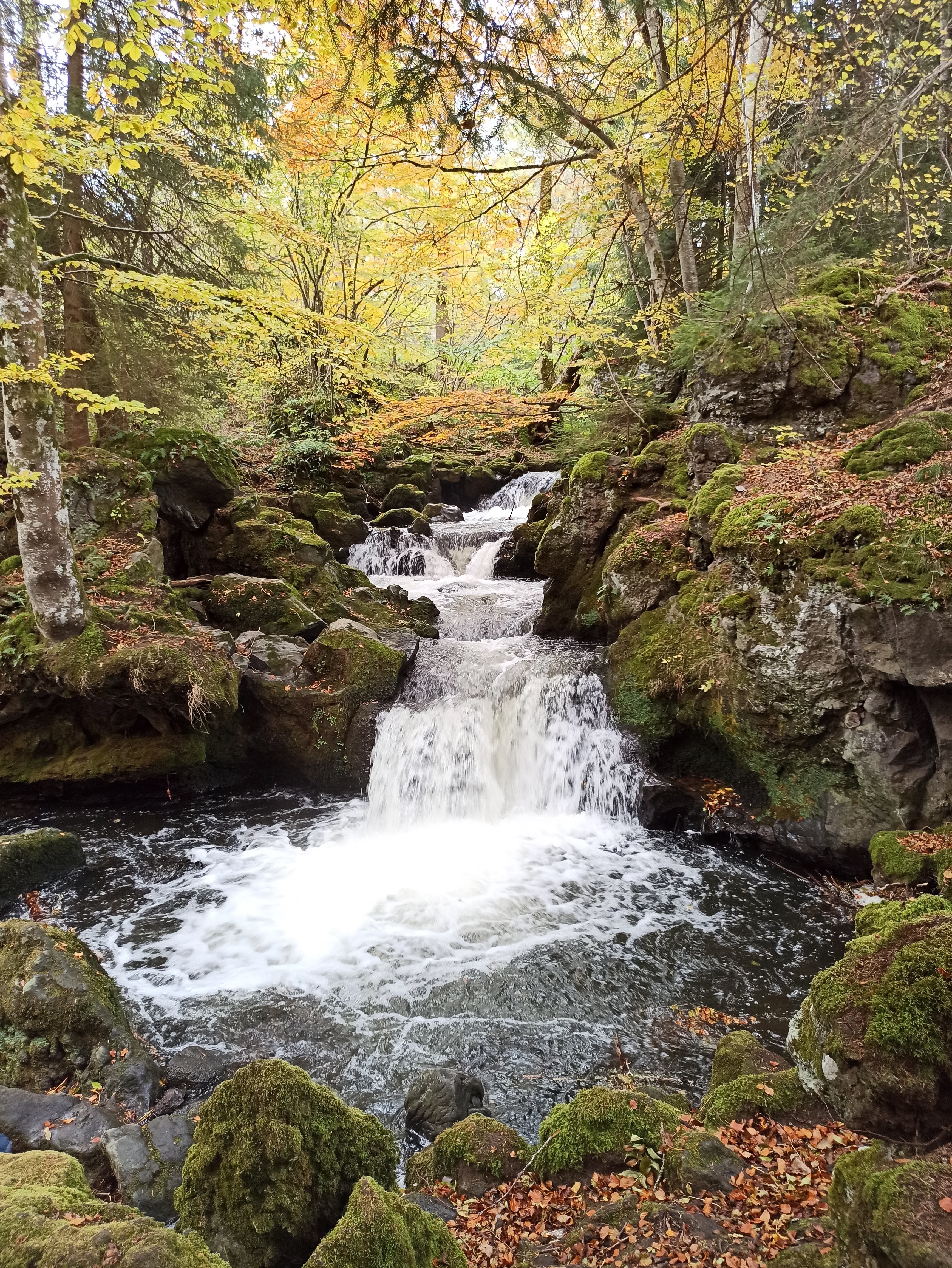 Photo n° 12 de l'avis de GAELLE.e fait le 24/10/2020 à 09:23