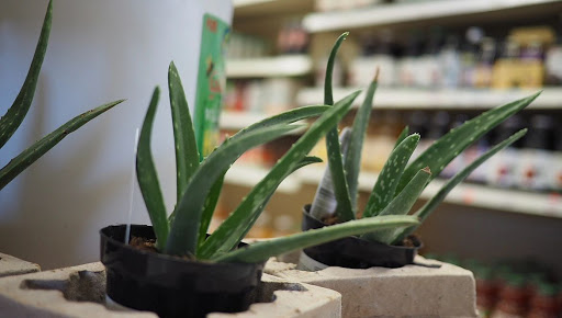 Health Food Store «Sunshine Health Foods», reviews and photos, 111 W 535 S, Cedar City, UT 84720, USA