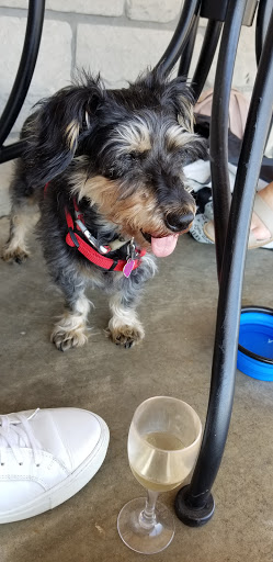 Winery «Canterbury Hill Winery and Restaurant», reviews and photos, 1707 S Summit Dr, Holts Summit, MO 65043, USA