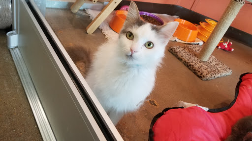 Pet Supply Store «Virginia Beach SPCA Pet Supplies & Adoption Center», reviews and photos, 983 Providence Square Shopping Center, Virginia Beach, VA 23464, USA