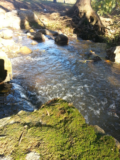 Park «Lakewood Park», reviews and photos, 7143 Williamson Rd, Dallas, TX 75214, USA